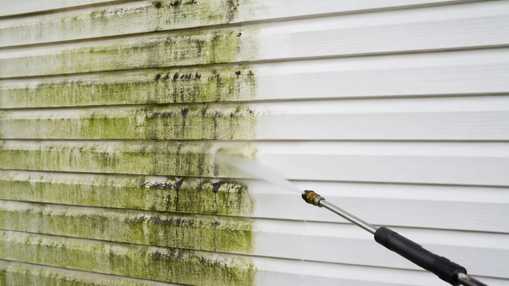 Algae Removal